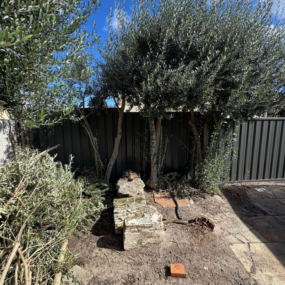 Residential fencing project completed in Perth WA.
